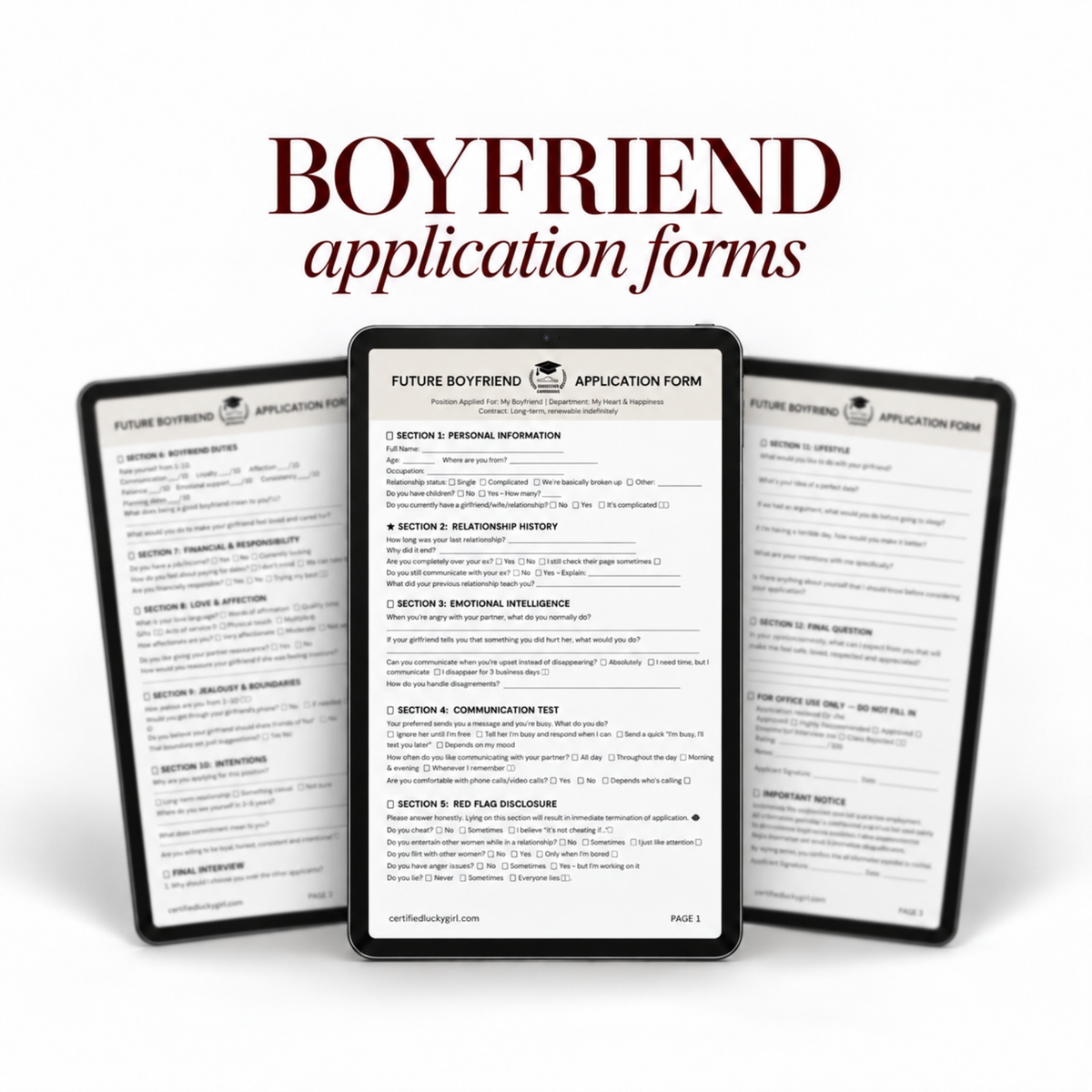 Future Boyfriend/Husband Application Forms - Bundle